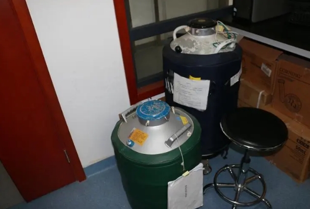 东亚液氮罐 东亚液氮罐