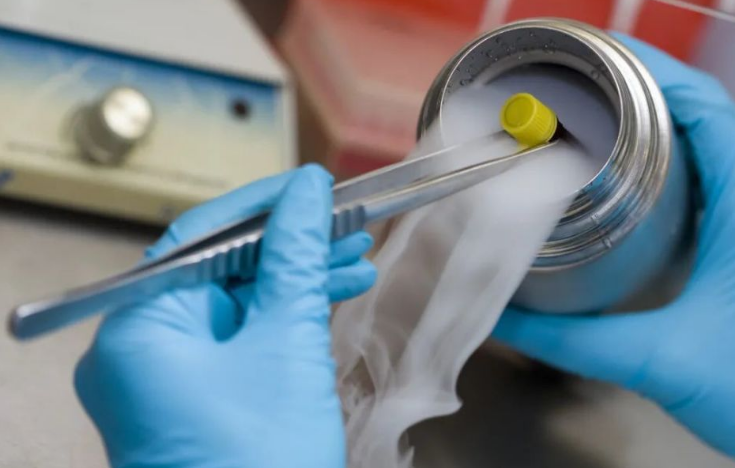 液氮杀菌 液氮杀菌