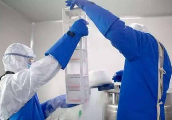 细胞冻存 细胞冻存