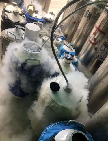 液氮罐充装 液氮罐充装