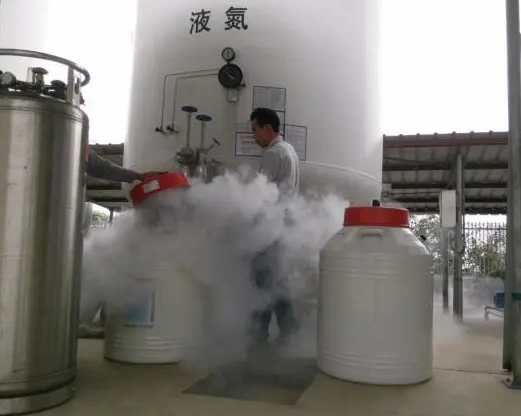 液氮充装 液氮充装