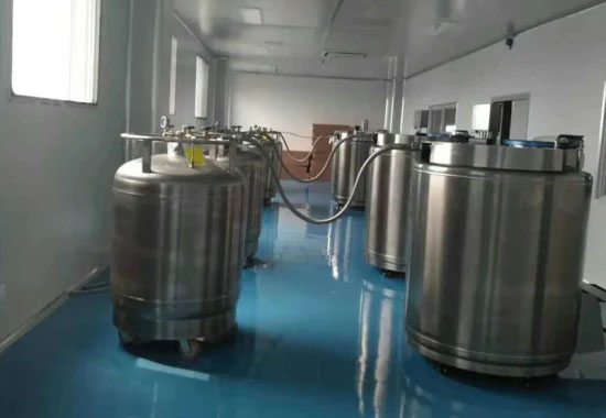 气相液氮罐 气相液氮罐