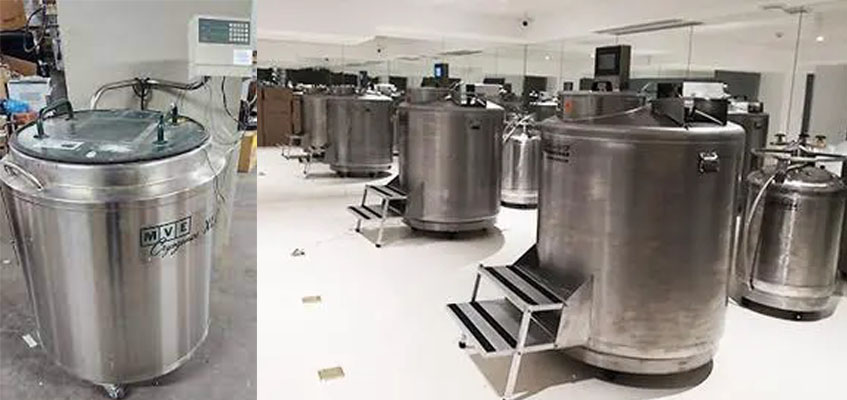 气相液氮罐