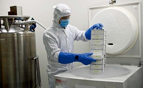 样品转移 样品转移