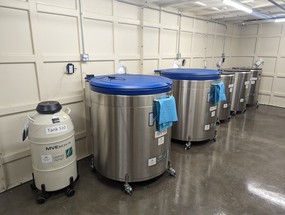 液氮罐房间 液氮罐房间