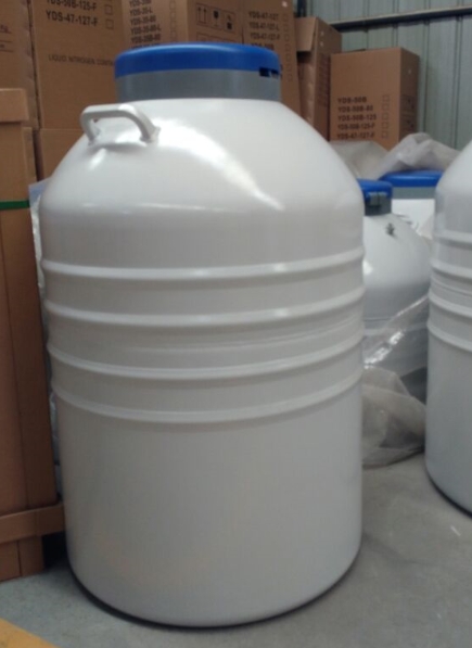 大口径液氮罐 大口径液氮罐