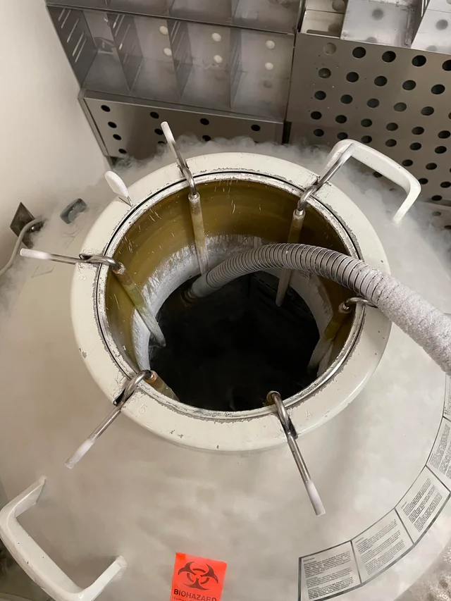 一罐液氮多少钱